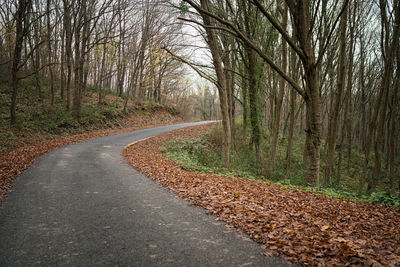 Road amidst trees in forest during autumn