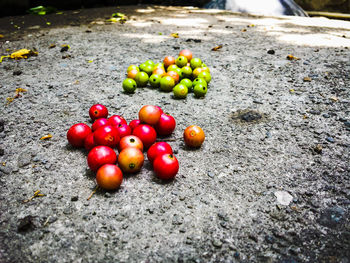 Close-up of cherries on tree