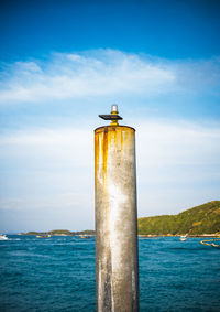 Seagull perching on wooden post in sea against sky