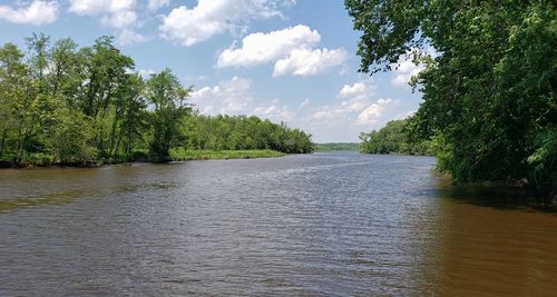 Scenic view of river amidst trees against sky