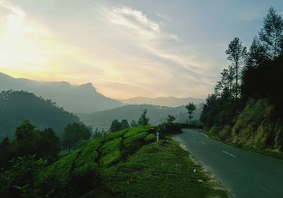 Road amidst trees and mountains against sky