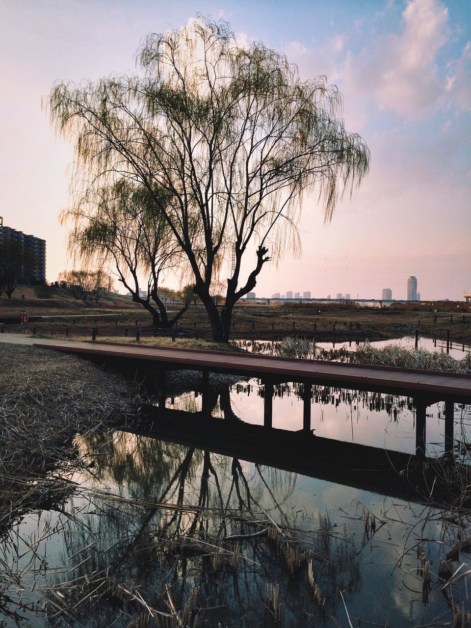 bare tree, tree, built structure, water, architecture, sky, sunset, river, building exterior, branch, tranquility, reflection, nature, cloud - sky, tranquil scene, scenics, bridge - man made structure, lake, canal, beauty in nature