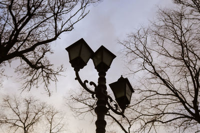 Low angle view of silhouette bare tree against sky