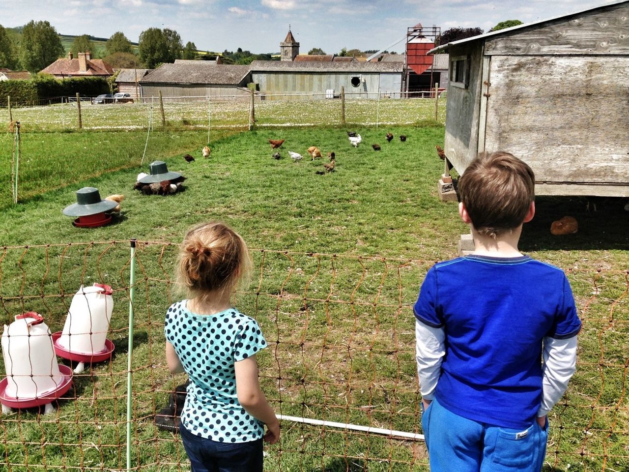 grass, field, casual clothing, lifestyles, leisure activity, rear view, childhood, boys, building exterior, grassy, built structure, three quarter length, standing, elementary age, architecture, girls, togetherness