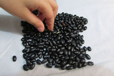 Close-up of hand holding coffee beans