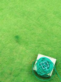 High angle view of green grass on field