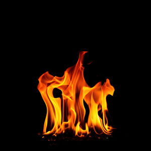 Close-up of bonfire against black background