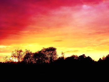Silhouette trees against dramatic sky during sunset