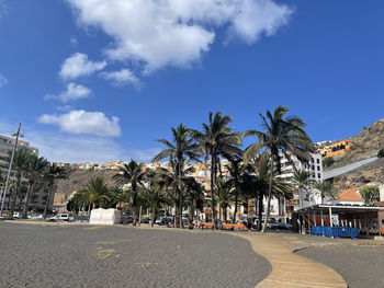 Palm trees on beach against sky