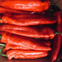 Close-up of red chili peppers for sale in market