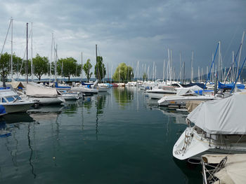 Sailboats moored at harbor