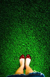 Low section of person standing on floor