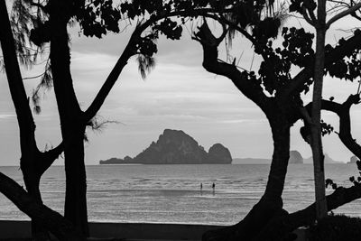 Silhouette trees by sea against sky