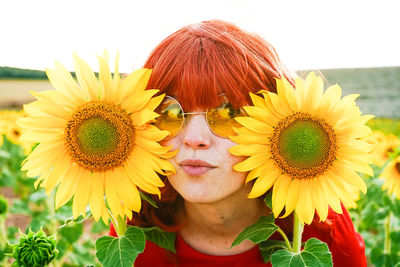 Close-up of sunflower