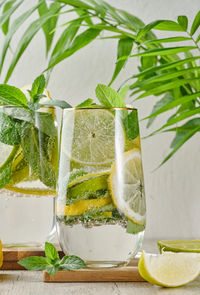 Close-up of potted plant on table