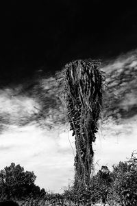 Low angle view of cloudy sky