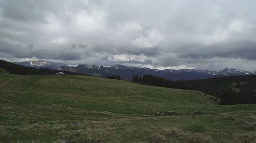 Scenic view of field against sky