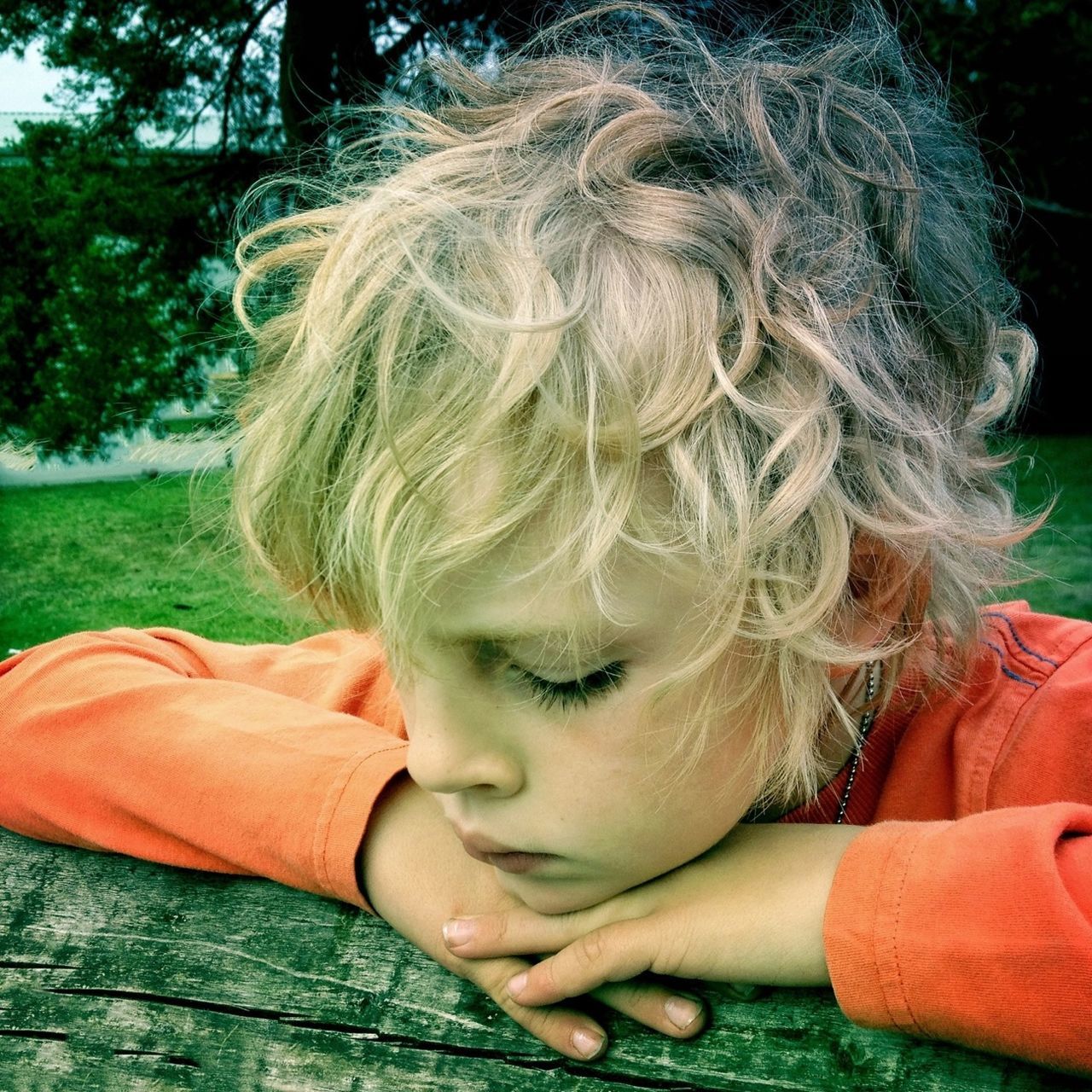 childhood, person, elementary age, headshot, innocence, lifestyles, girls, cute, leisure activity, park - man made space, close-up, boys, blond hair, focus on foreground, casual clothing, portrait, relaxation, tree