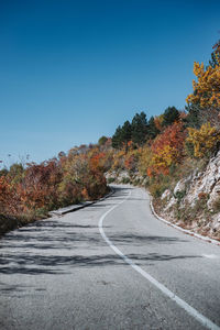 Road amidst trees against clear sky during autumn