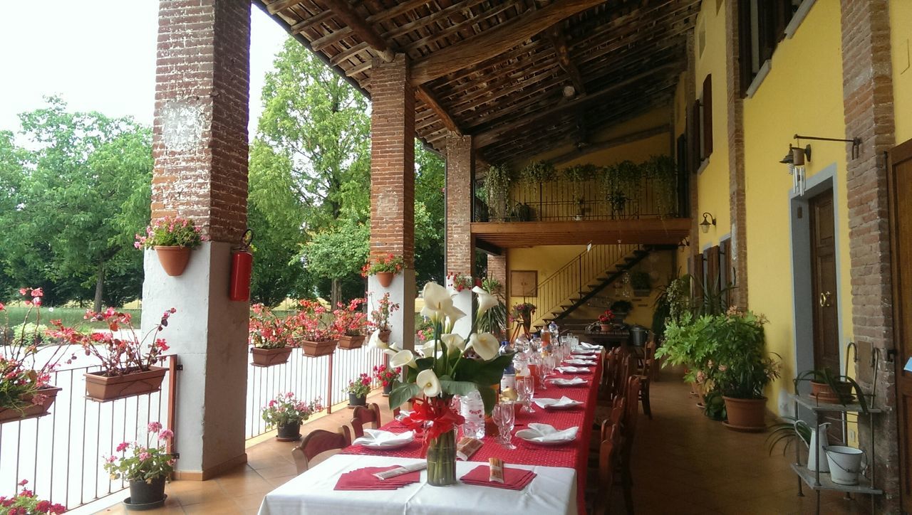 potted plant, architecture, built structure, indoors, building exterior, plant, house, table, growth, chair, window, flower, sunlight, flower pot, day, decoration, no people, residential structure, architectural column, arrangement