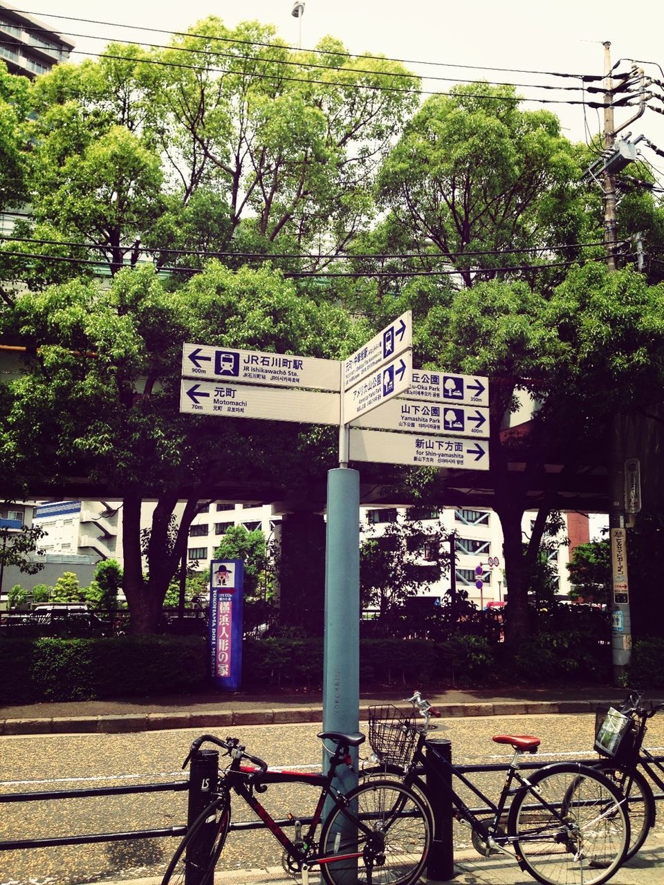 text, bicycle, transportation, western script, communication, mode of transport, land vehicle, tree, information sign, sign, parking, non-western script, city, street, railing, parked, built structure, road sign, day, stationary