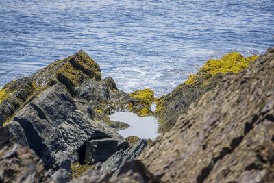 High angle view of rock on sea shore