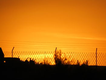 Silhouette of trees at sunset