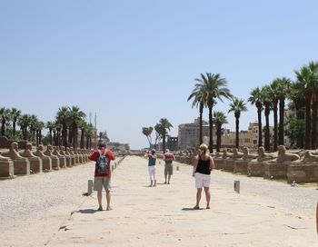 Rear view tourists traveling at temple of luxor