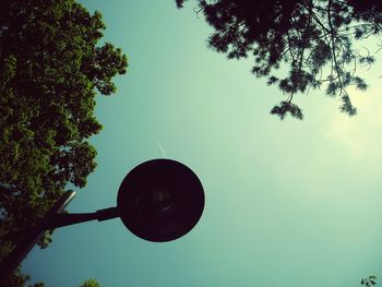 Low angle view of trees against clear sky