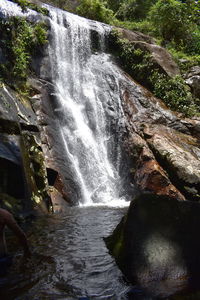 Scenic view of waterfall in forest