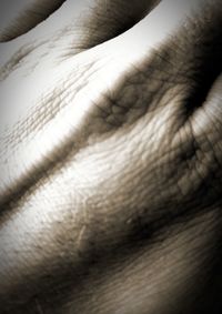 Close-up of human hand