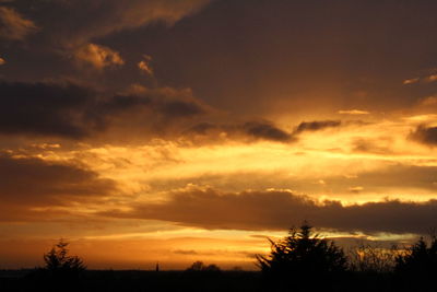 Silhouette trees on landscape against orange sky