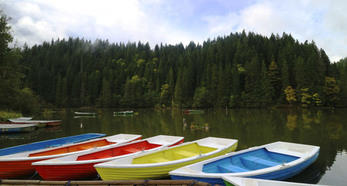 Scenic view of lake by trees against sky