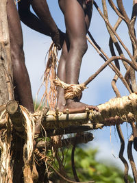 Low section of man on tree trunk against sky