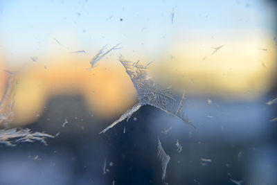 Close-up of wet window during winter