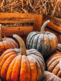 Close-up of pumpkins for sale at market stall