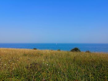 Scenic view of sea against clear blue sky