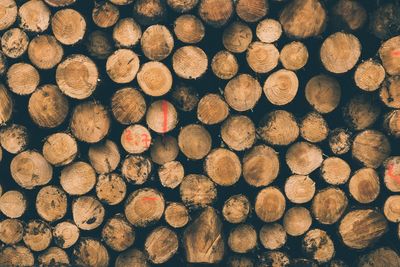 Full frame shot of logs