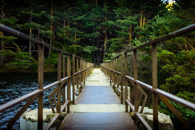 Footbridge amidst trees in forest