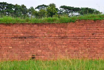 Red concrete patterns and textures and green grass. view of stone wall on field.