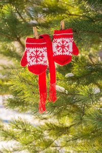 Close-up of christmas decoration hanging on tree