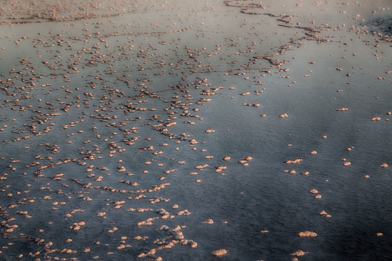 HIGH ANGLE VIEW OF WET SAND ON ROAD