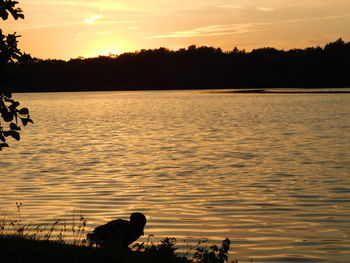 Silhouette person by lake against sky during sunset