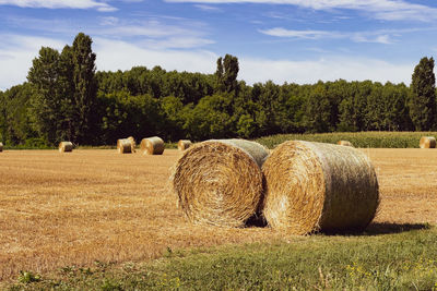 Hay bales on field against sky