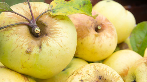 Close-up of apples for sale in market