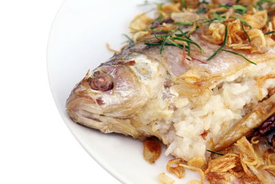 Close-up of fish served in plate