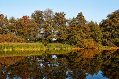 Reflection of trees in lake against sky during autumn