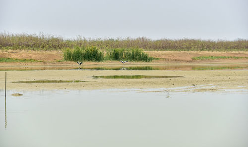 Scenic view of lake against sky