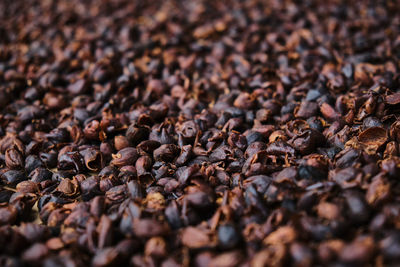 Detail shot of coffee beans