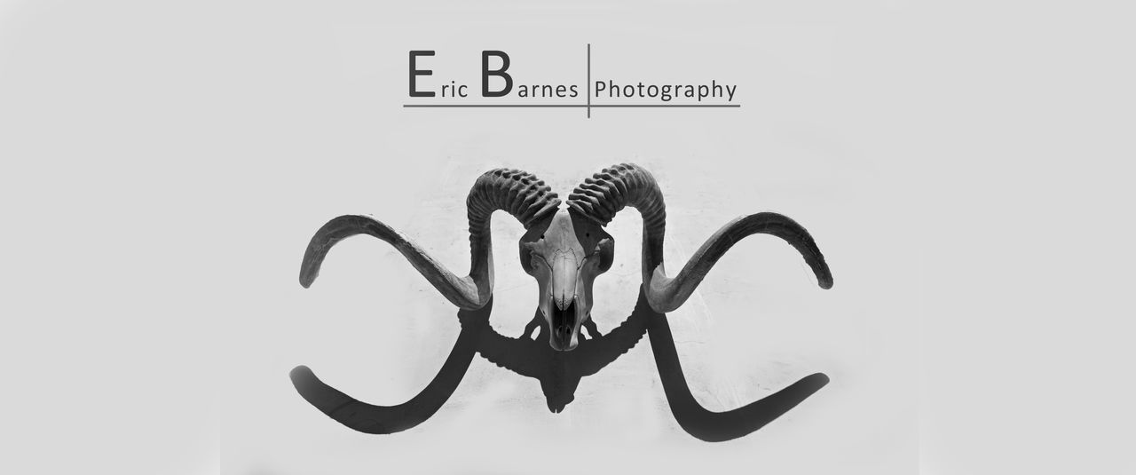 Eric Barnes Photography